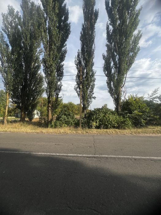 Новосілки ділянка 12 соток Боярське ОТГ