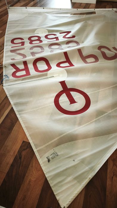 Vela Optimist OneSails — Standard Medium Plus (MP) — como nova