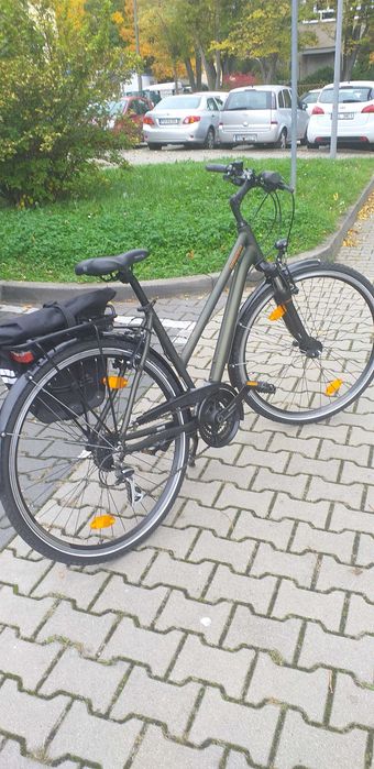 Rower Winora Domingo 24