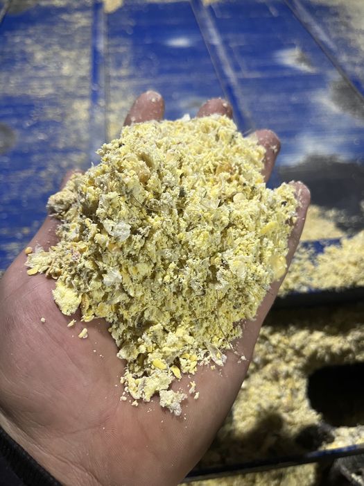 Ziarno kukurydzy w belach gniecione wysłodki