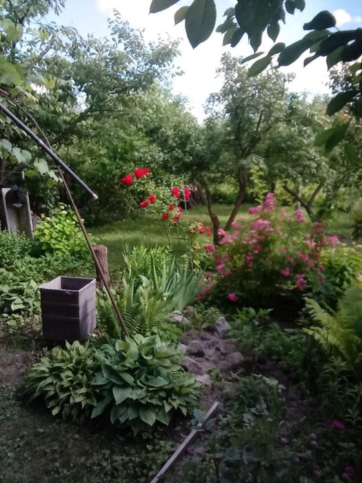 Пилипча.Продаж будинку з краєвидом на річку.