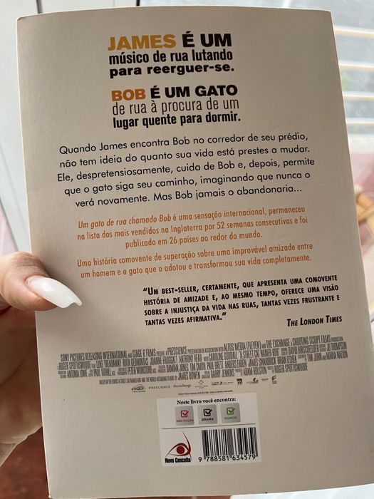 Um gato de rua chamado Bob - James Bowen
