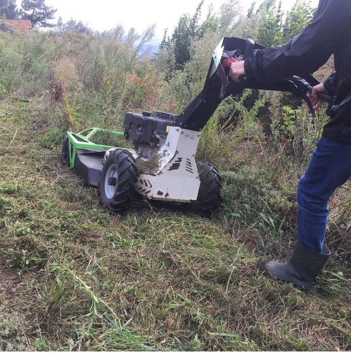 Jardinagem , motocultivador e afins