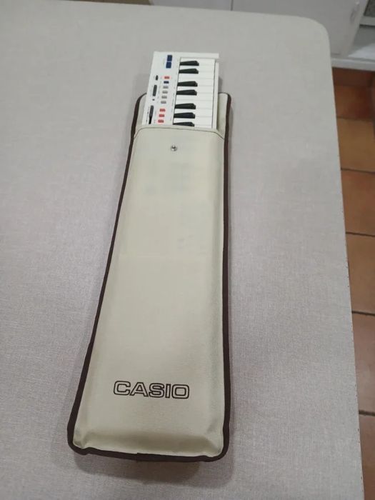 Teclado Casio pt 20