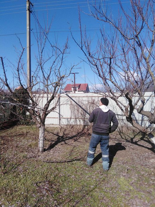 Уборка участка,обрезка деревьев, омоложение,покос,вспашка