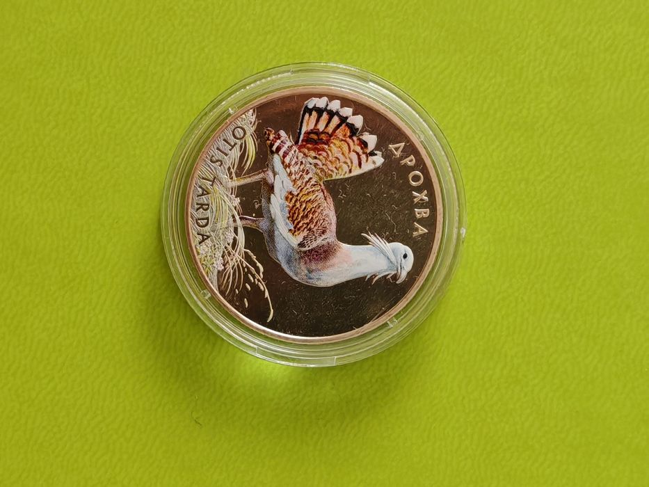 Монета Дрохва 2013р