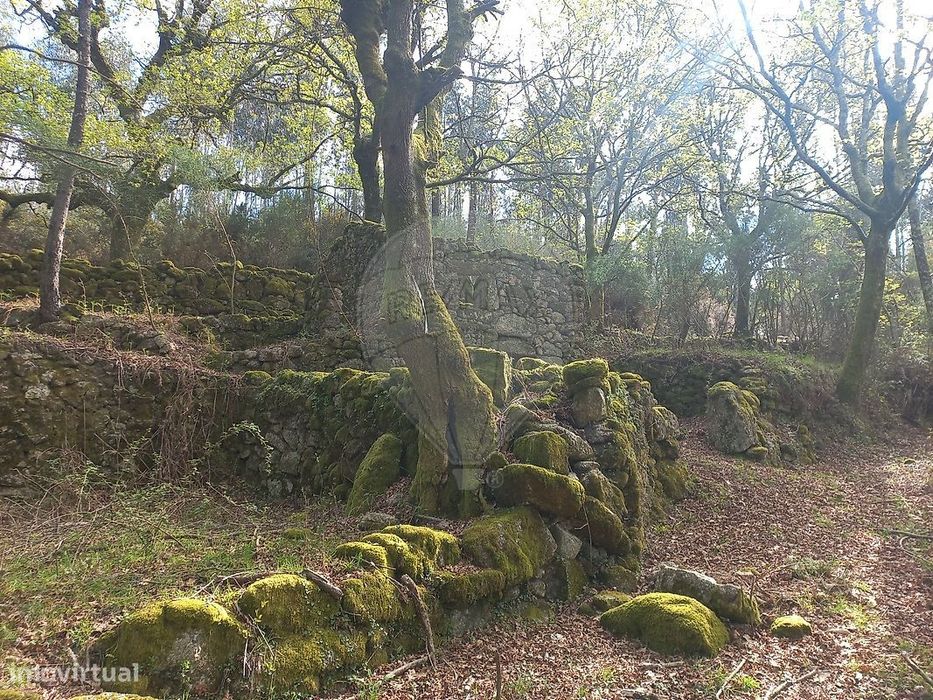 Terreno  para venda