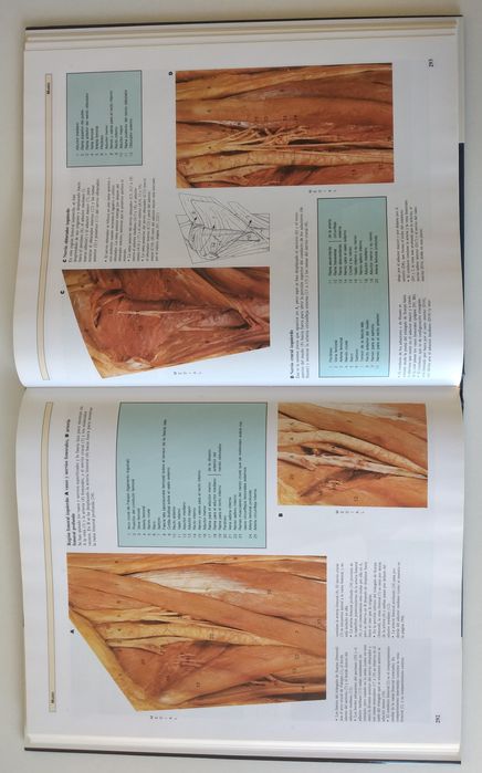 Atlas Anatomia Humana - 2 livros novos em Espanhol