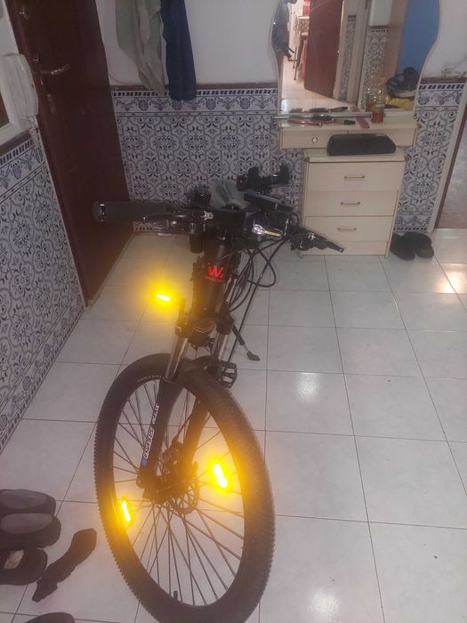 Electric cycle wayscral