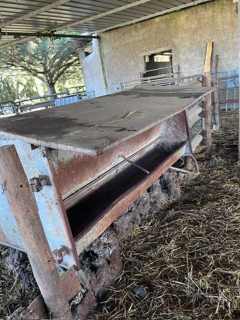 Comedouro de farinha ou granulado 500Kg Vitelos