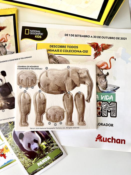 Coleção National Geographic Kids