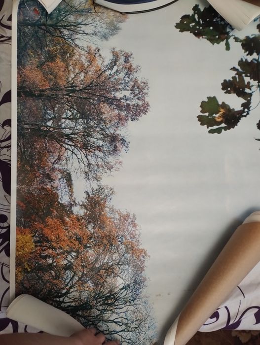 Великі фотографії природи, обої