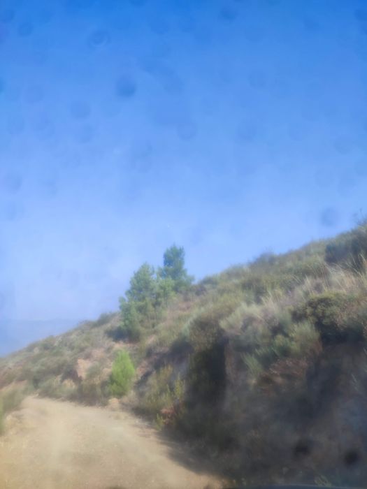 Terreno rústico em Moncorvo