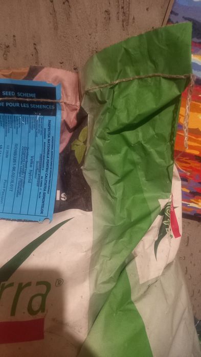 Продам семена подсолнуха