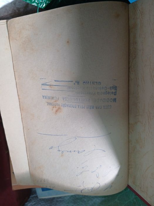 Nuno de Montemor, Glória em Sangue