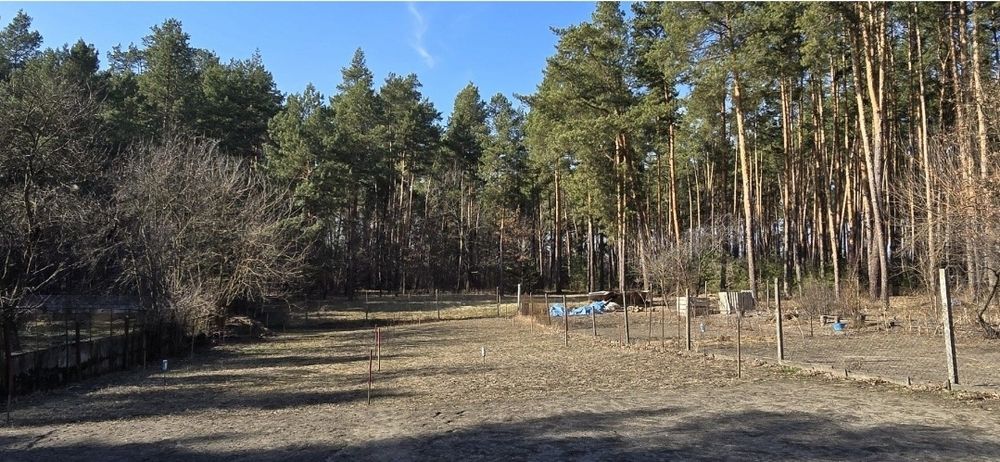 Ділянка біля лісу! Житомирська траса/Білогородка