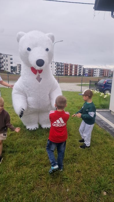 Miś Krzyś XXL Na każdą imprezę