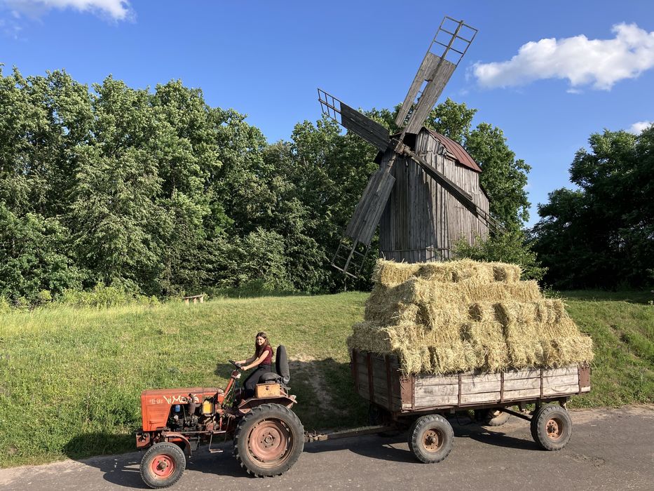 Сіно. Люцерна, овес, різнотравя. Укіс червень 2025