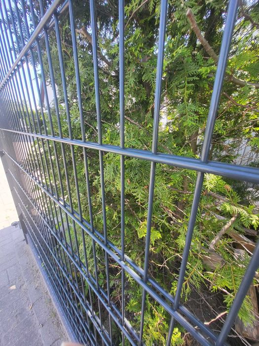 panel 2D 6/5/6 wys 1,23 grafit