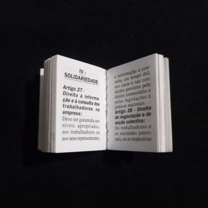 Os meus direitos fundamentais