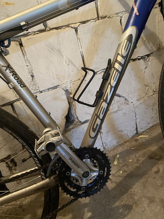 Rower gazelle puerto