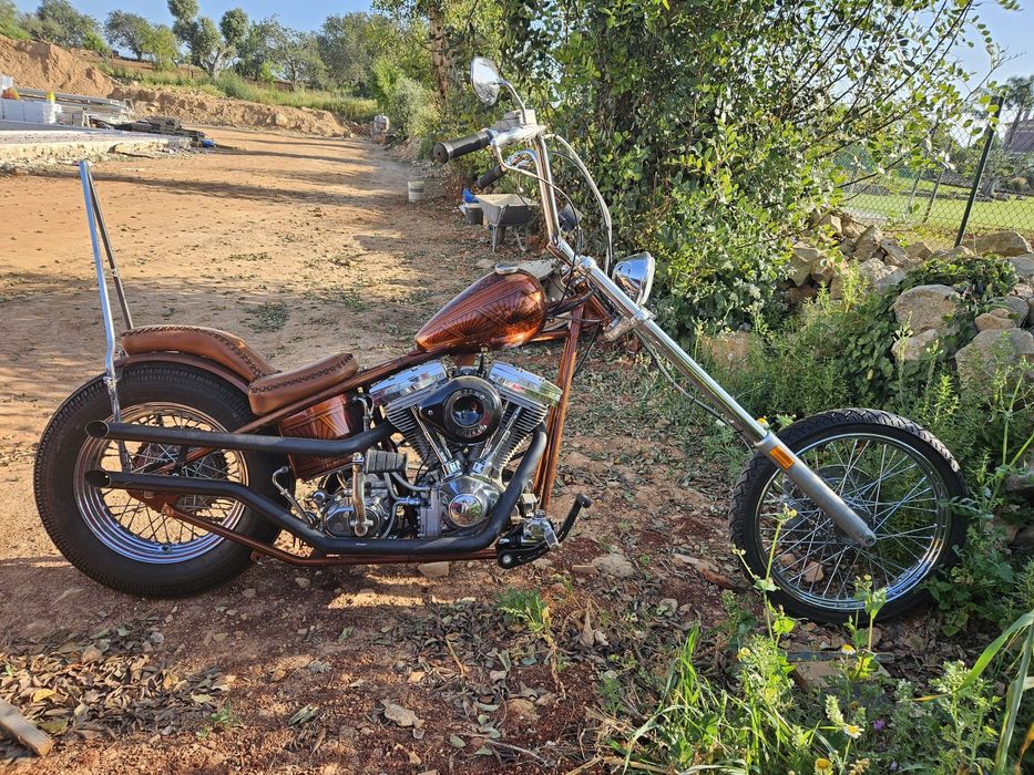 Harley Davidson 1340 2024