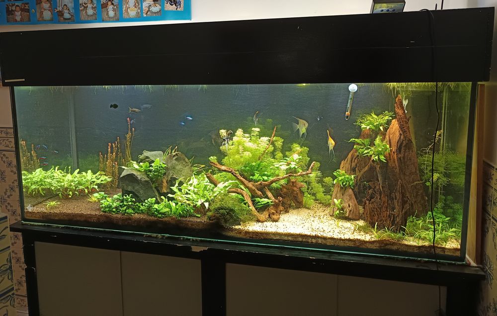 Calha de luz aquário