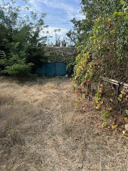 Земельна ділянка+ будинок (Випасне)