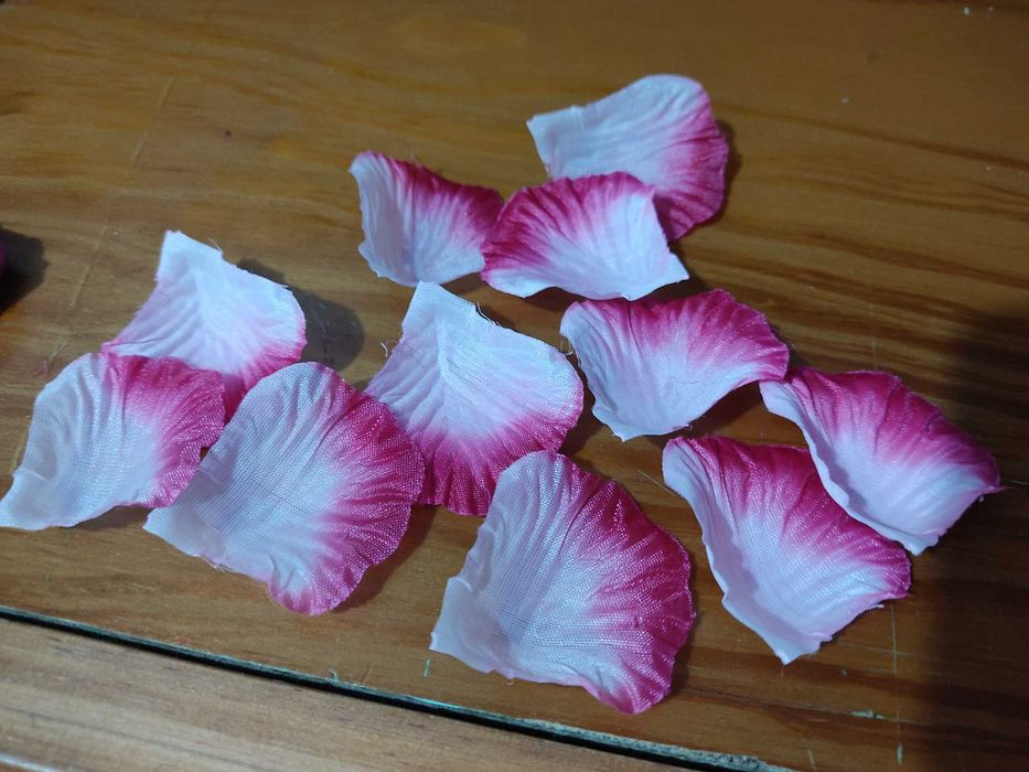 Pétalas para surpresas românticas, casais, namorados casamentos namoro