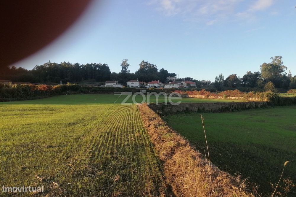 Terreno agrícola com 6.650 M2 em Minhotães-Barcelos