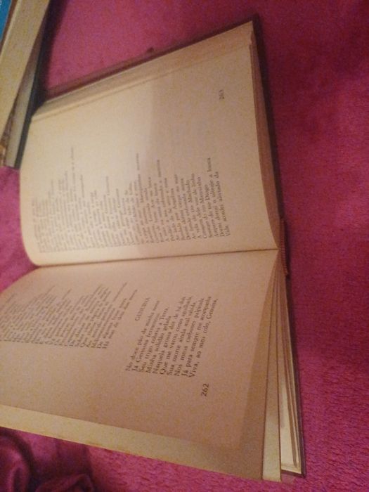 800 Anos Poesia Portuguesa