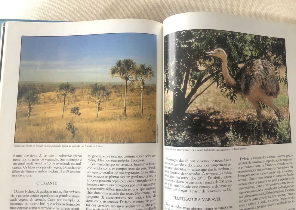 Livro "Onde Vivem Nossos Bichos" (5 grande biomas do Brasil)