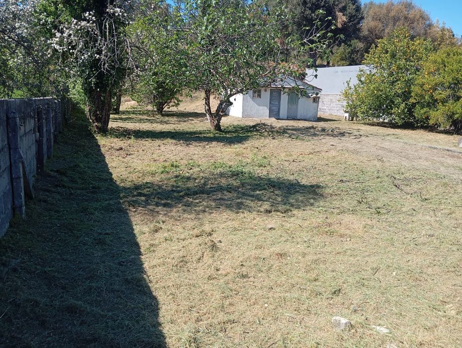 Terreno em Pedrogao Pequeno