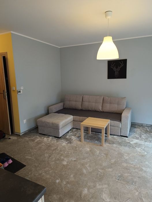 Mieszkanie do wynajęcia