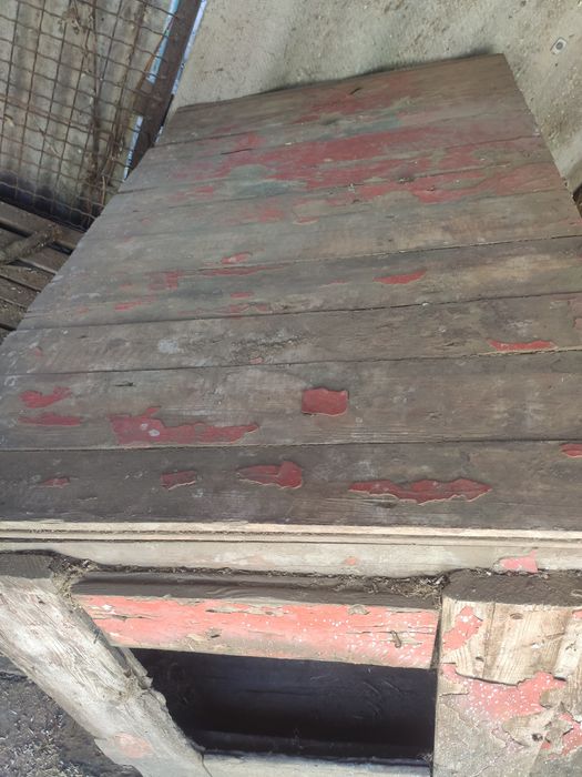 Огромная будка для собак