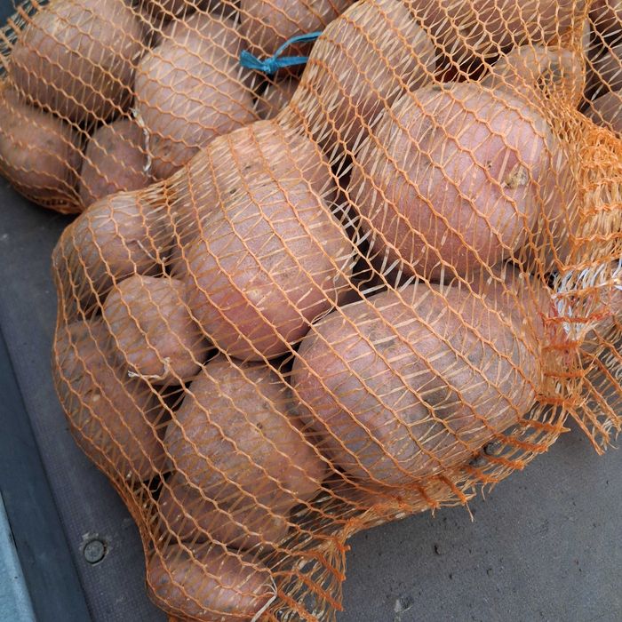 Ziemniaki  bellaros 15kg  20zł