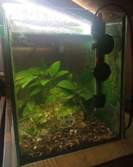 Продам аквариум до 25л