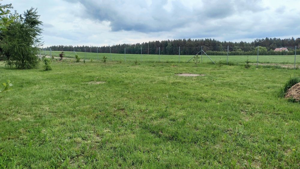 Działka Mazury - Warunki Zabudowy - prąd, ogrodzona - jeziora i lasy - Widok 4