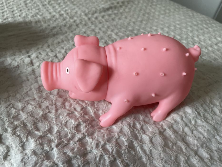 Brinquedo para cães - Porco que ronca