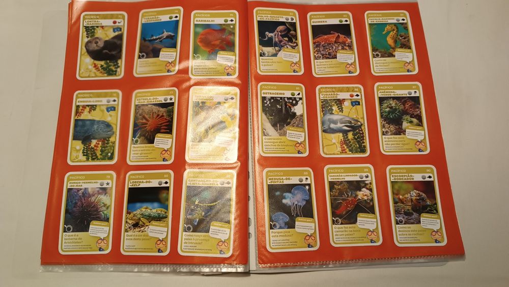 Oceanos. Cartas Pingo Doce. 120 cartas