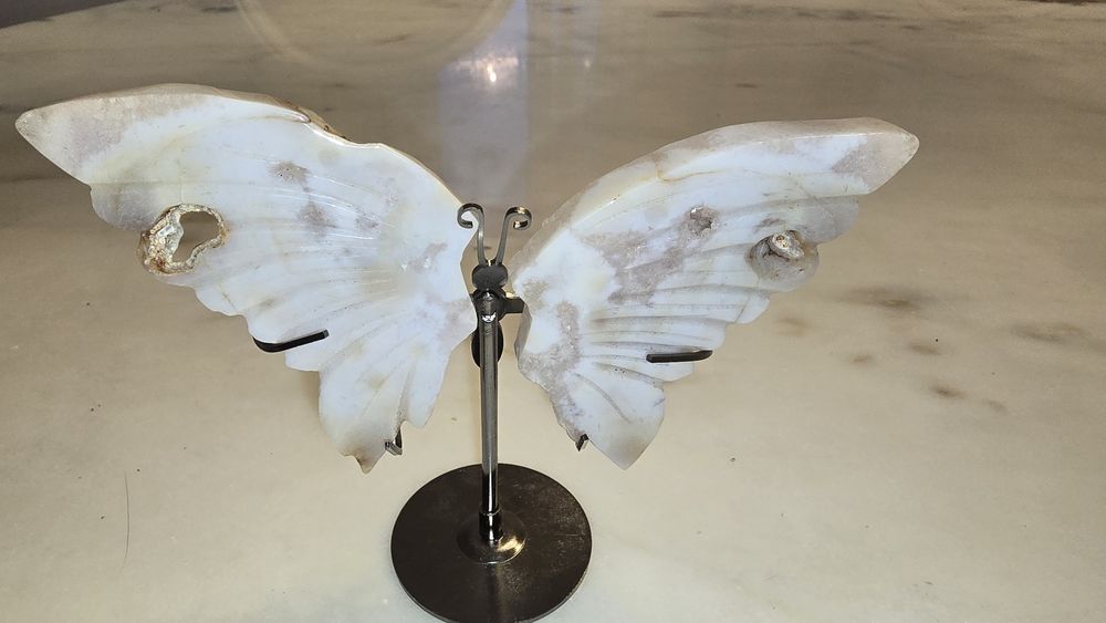 Borboleta agata flor