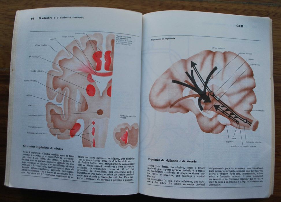 Dicionário de Psicologia