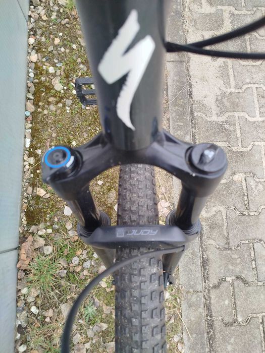 Specialized Rockhooper Expert Oak Green 29 XL