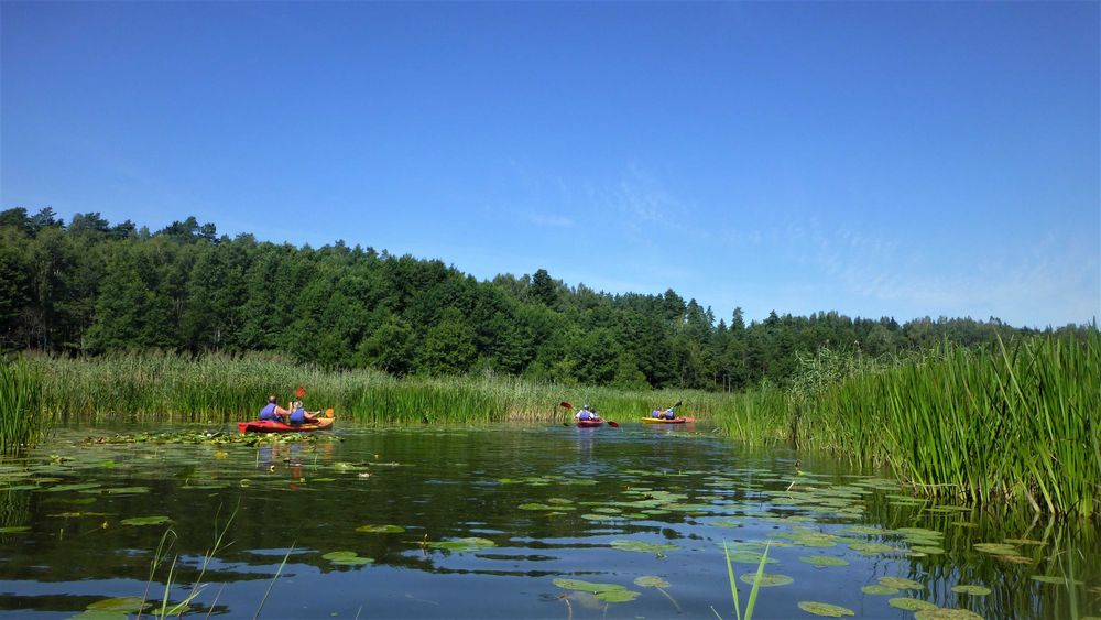 Mazury, Kruklanki k/Giżycka, pokoje z łazienkami, parking, plac  zabaw