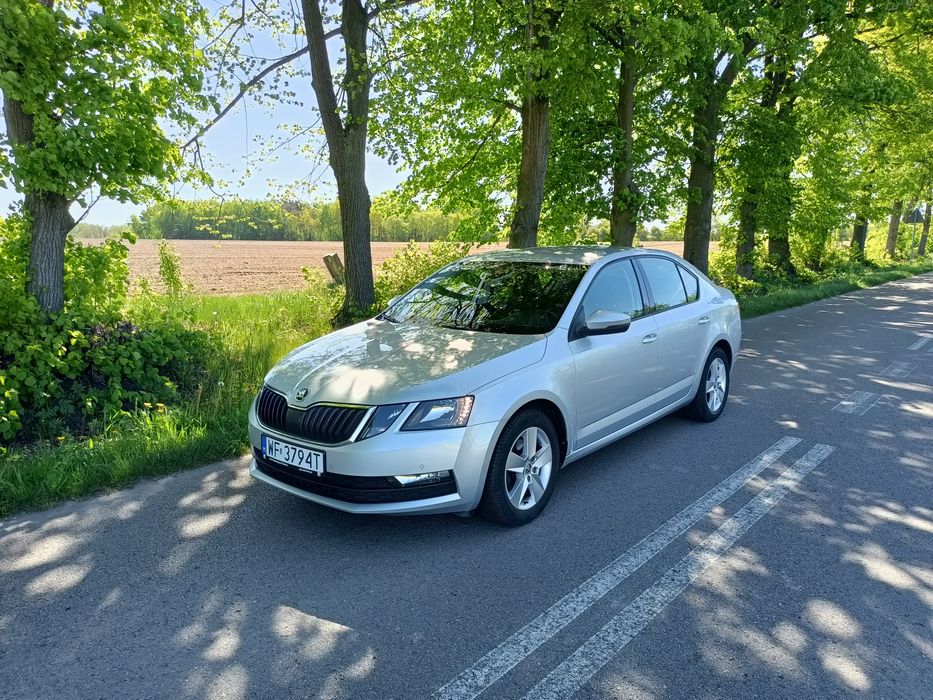 Wynajem Wypożyczalnia samochodów auta