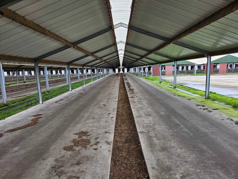 Konstrukcja stalowa 292 m2 wiata hala magazyn 8.10x36 m