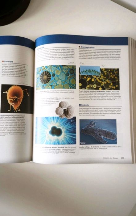 Biologia Campbella