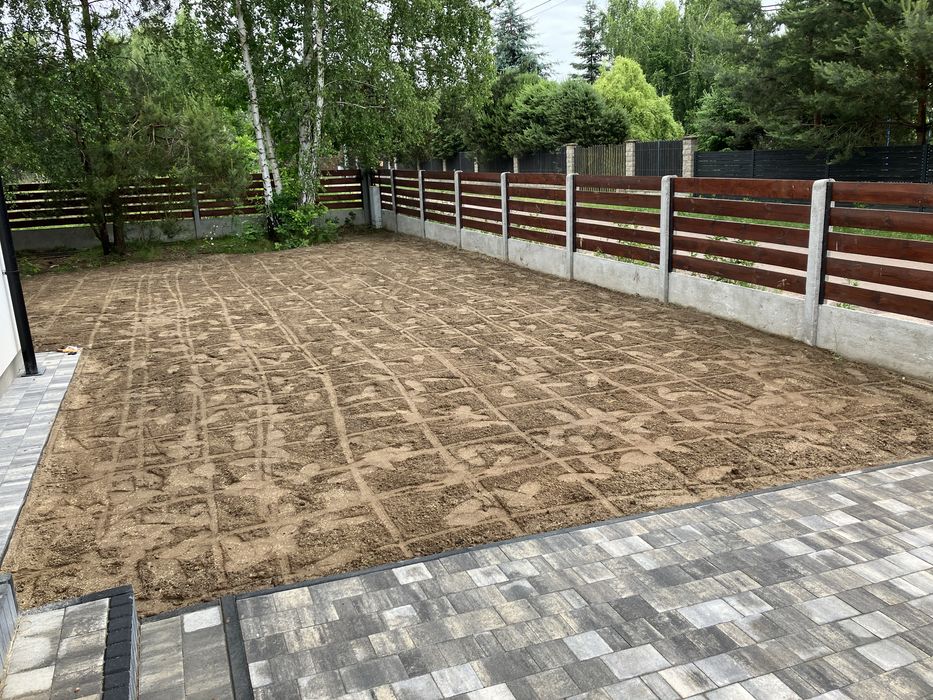 Regeneracja trawników po zimie