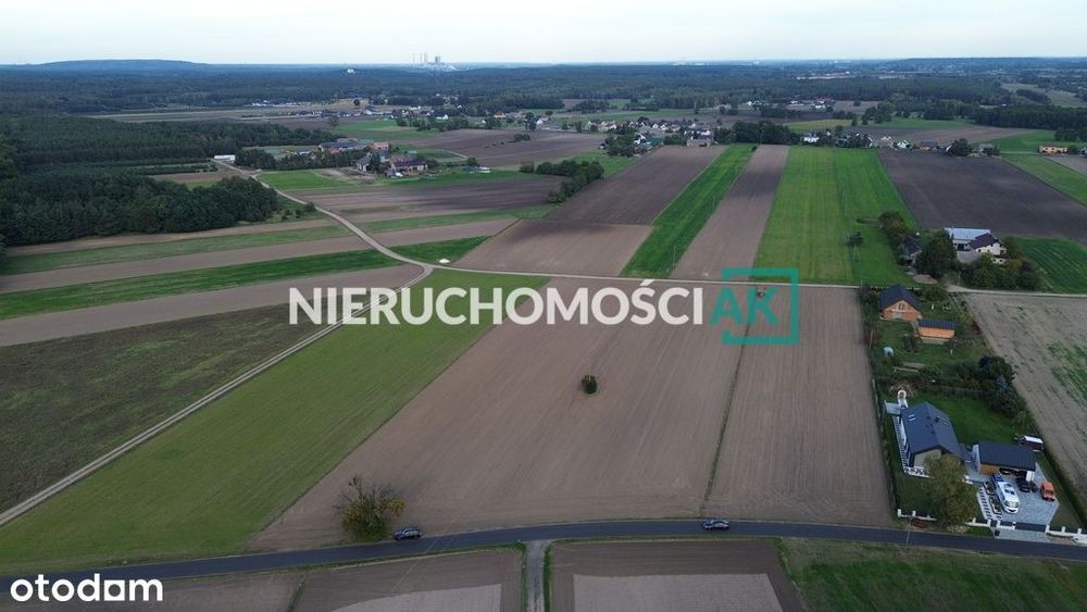 Rosocha gm. Golina | 4 działki na sprzedaż | 60zł/m² - Widok 3