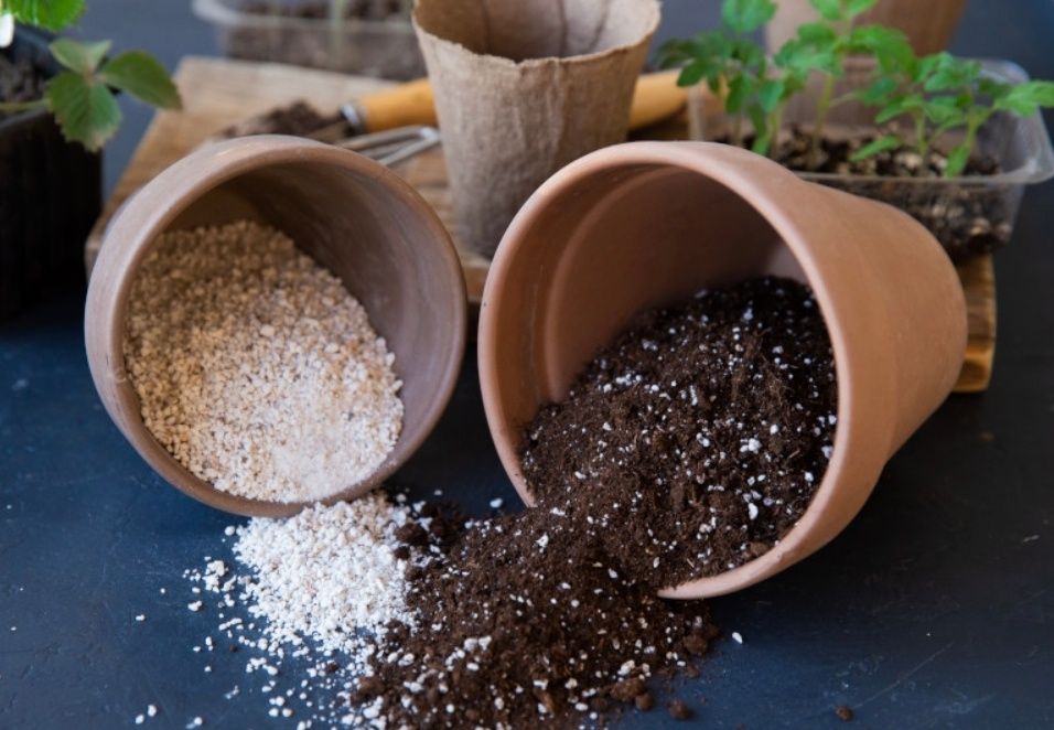 Грунт (додатки) для рослин